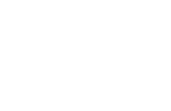 Stag Print
